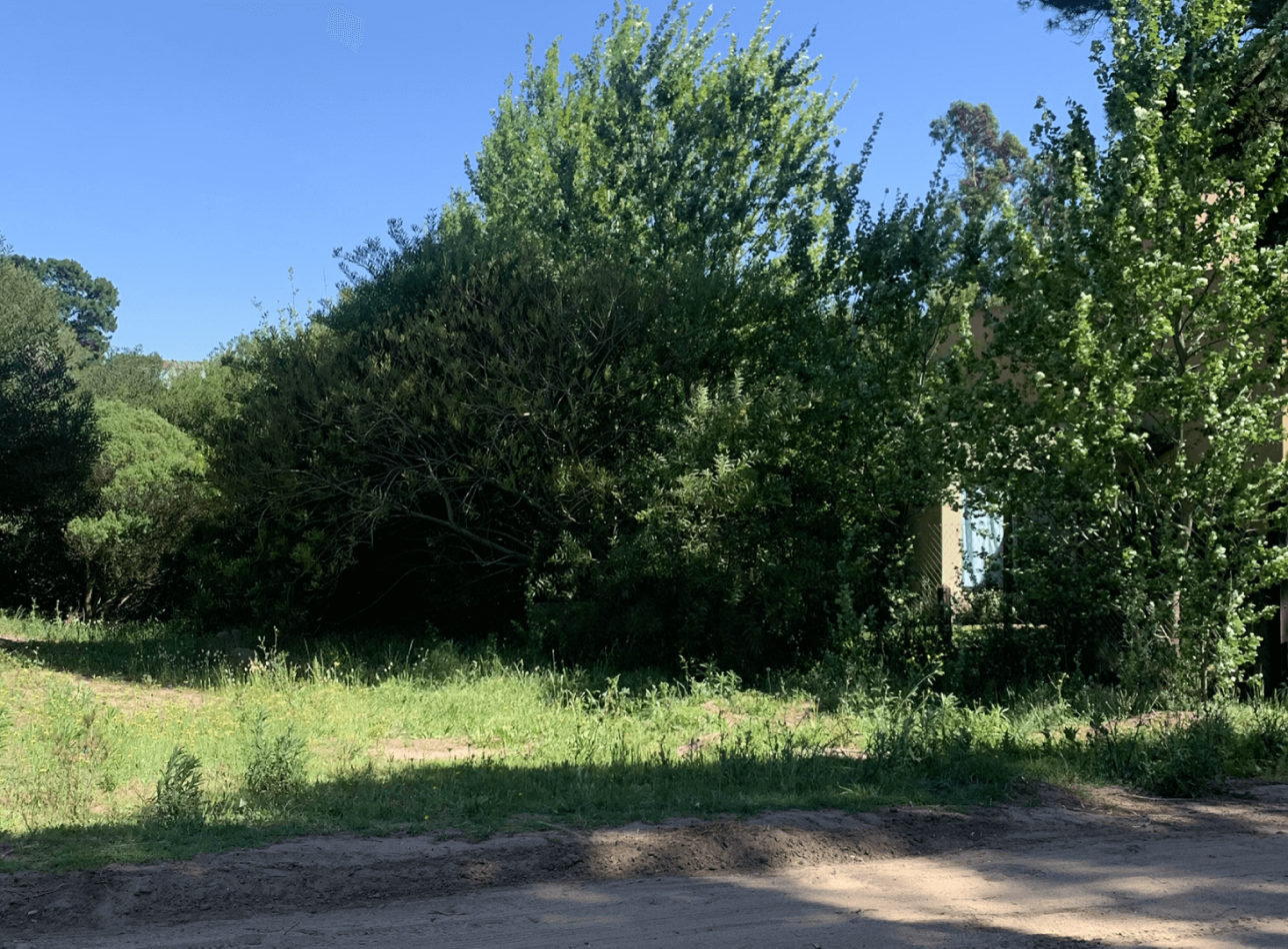 LOTE UNIFAMILIAR MAR AZUL 