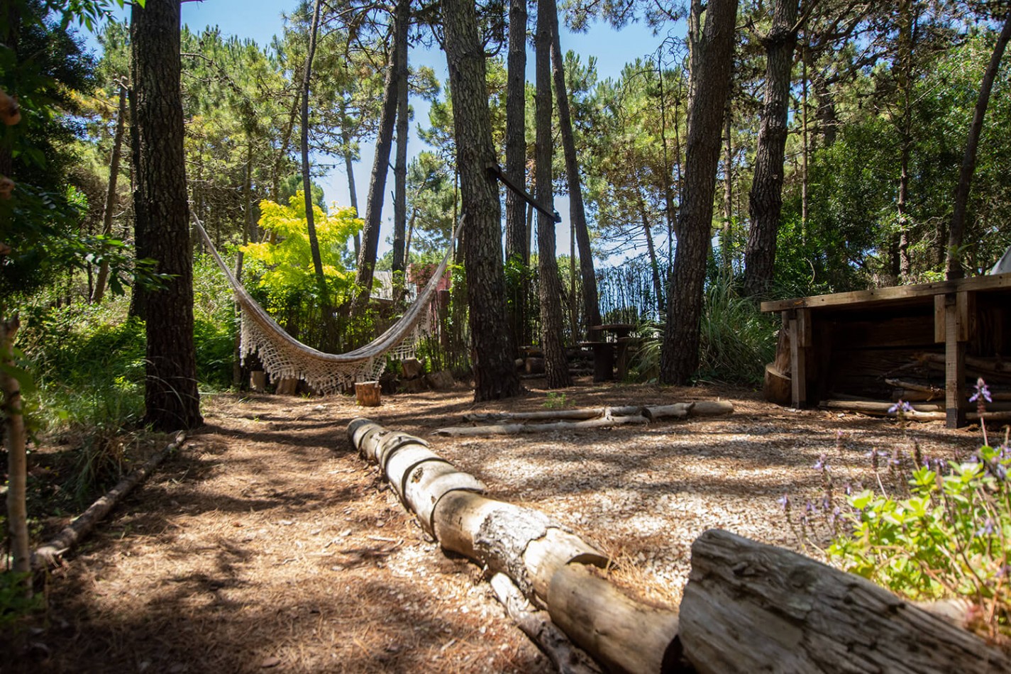CASA en MAR DE LAS PAMPAS