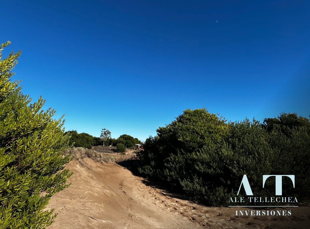 31800 m2 en las Gaviotas para invertir!!