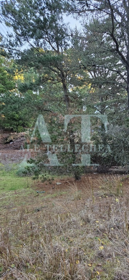 lote en esquina con amplio espacio verde - mar de las pampas