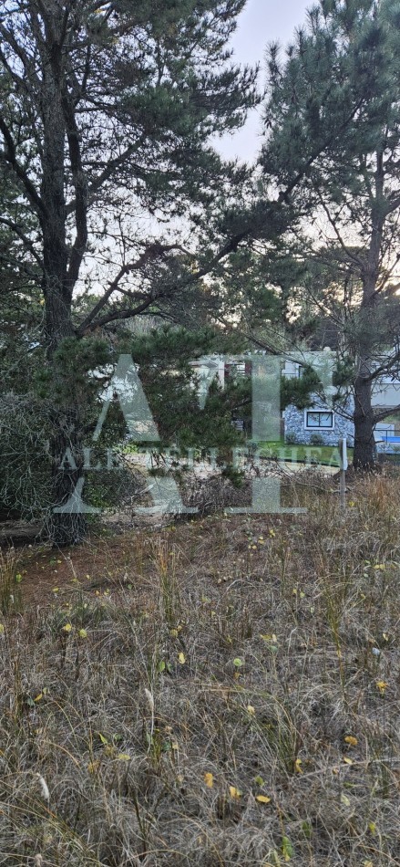 lote en esquina con amplio espacio verde - mar de las pampas
