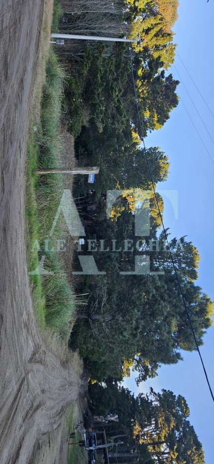 lote en esquina con amplio espacio verde - mar de las pampas