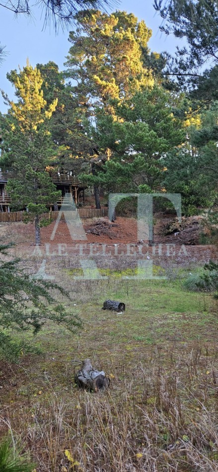 lote en esquina con amplio espacio verde - mar de las pampas