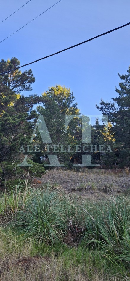 lote en esquina con amplio espacio verde - mar de las pampas