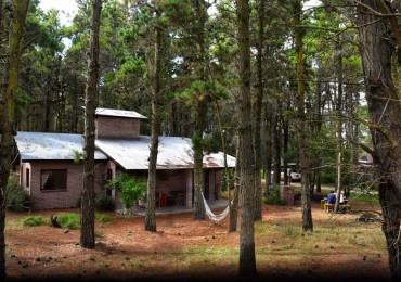 Casa en el Bosque- Mar de las Pampas
