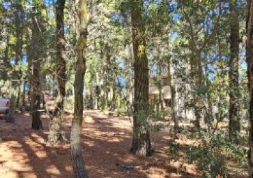 Exclusivo Lote en Cul-de-Sac: 675m² de Bosque y Privacidad en Mar de las Pampas